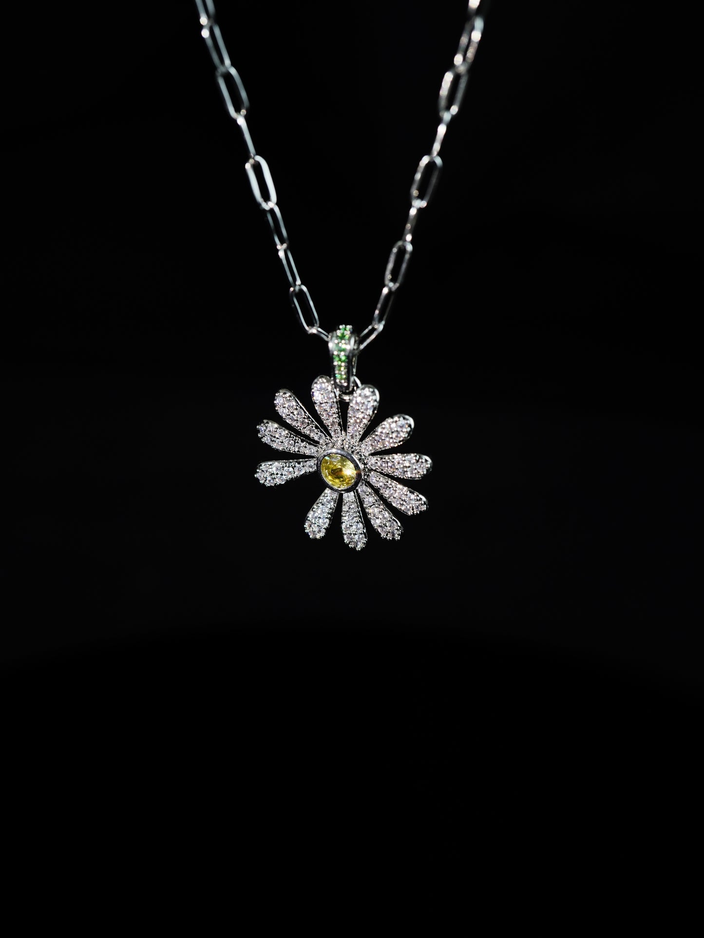 DAISY