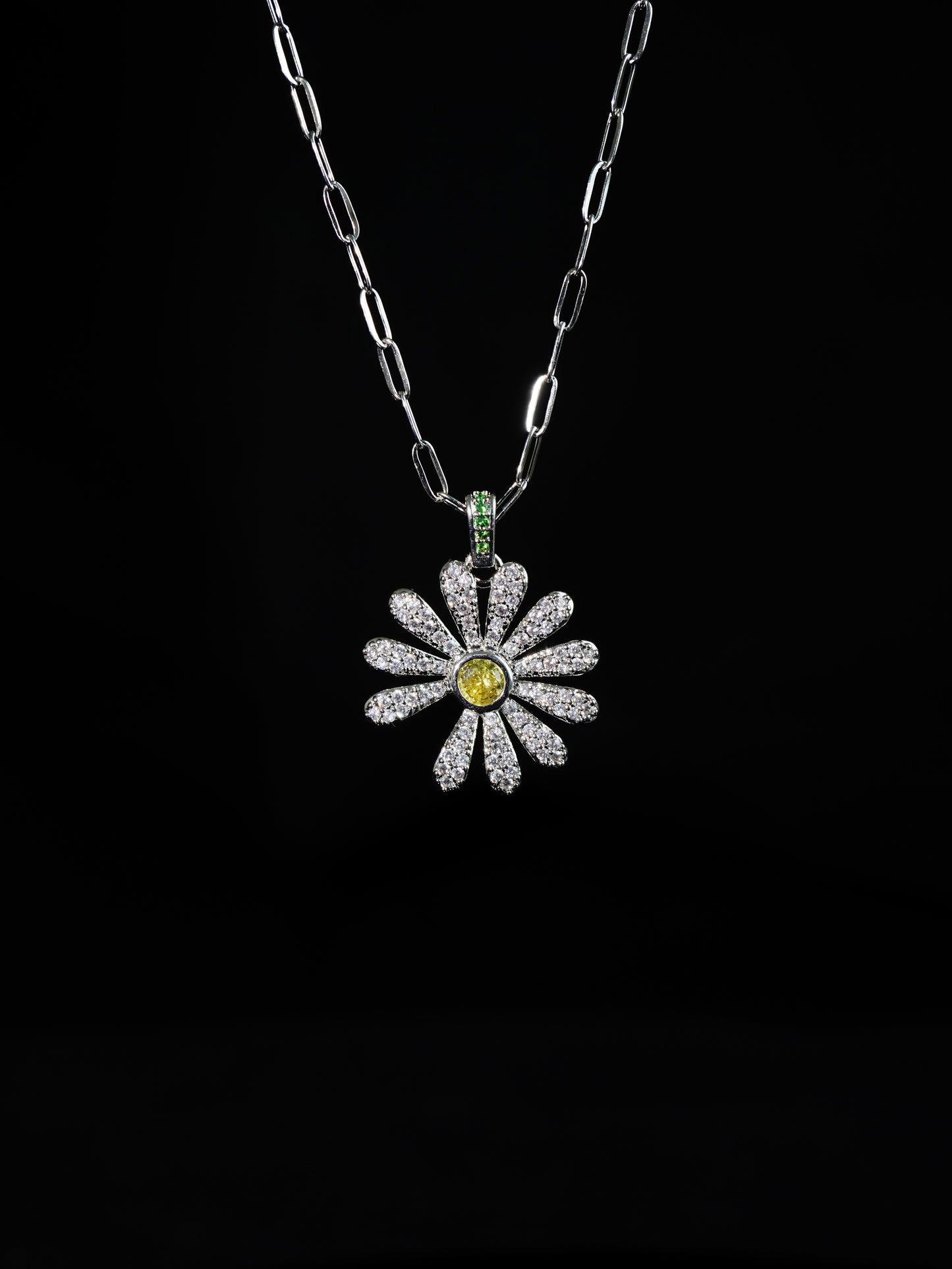 DAISY